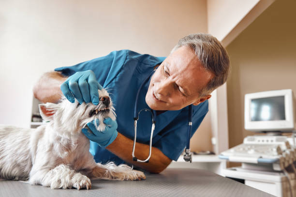 Best Pediatric Emergency Dentist in Tri City, OR